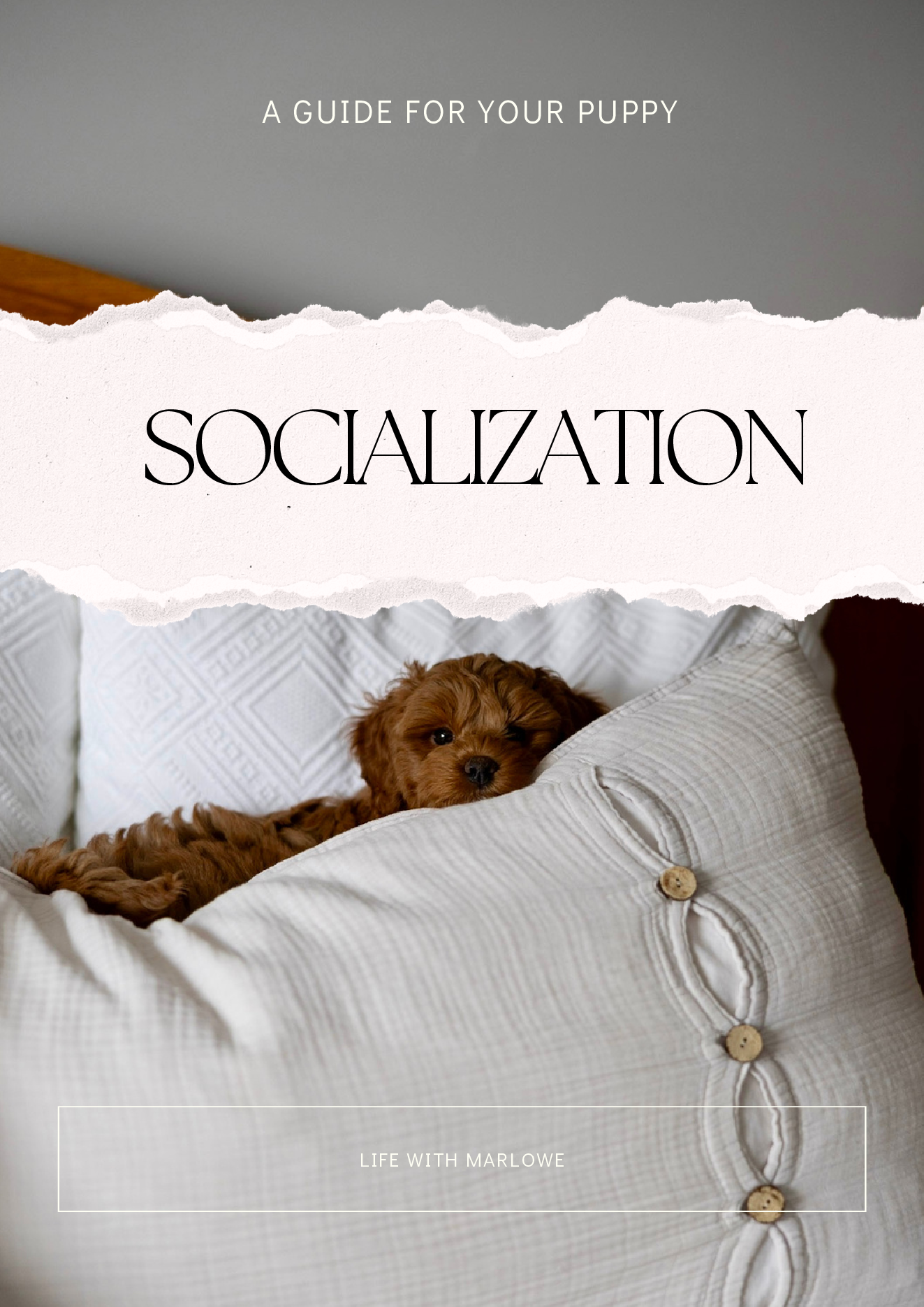 Puppy Socialization Guide page 1