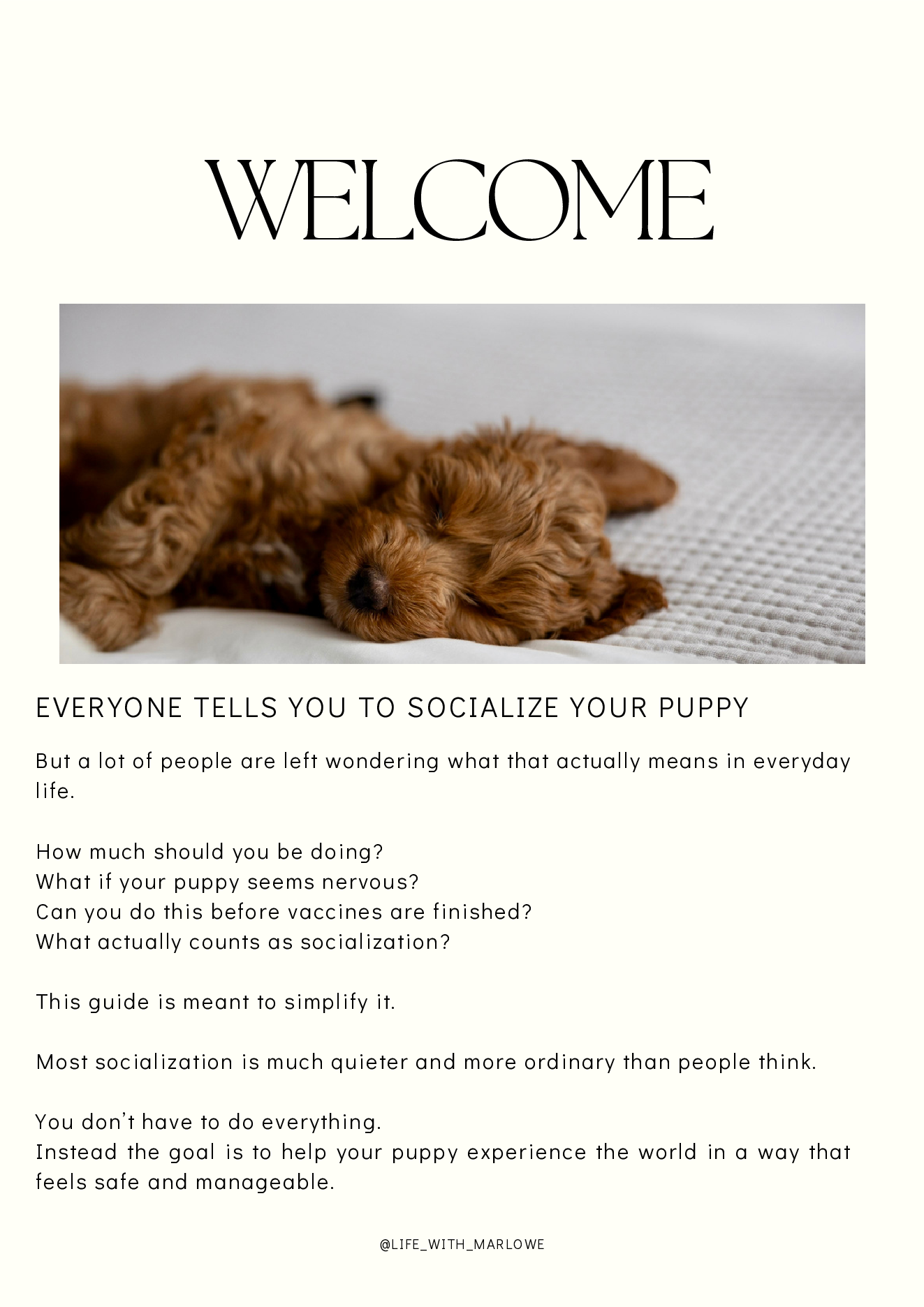 Puppy Socialization Guide page 2