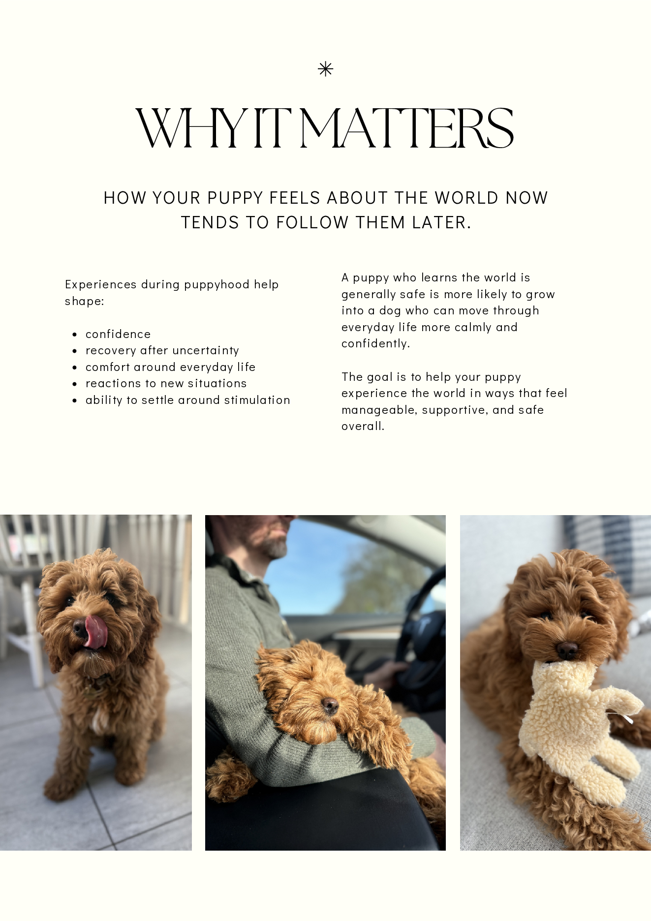 Puppy Socialization Guide page 4