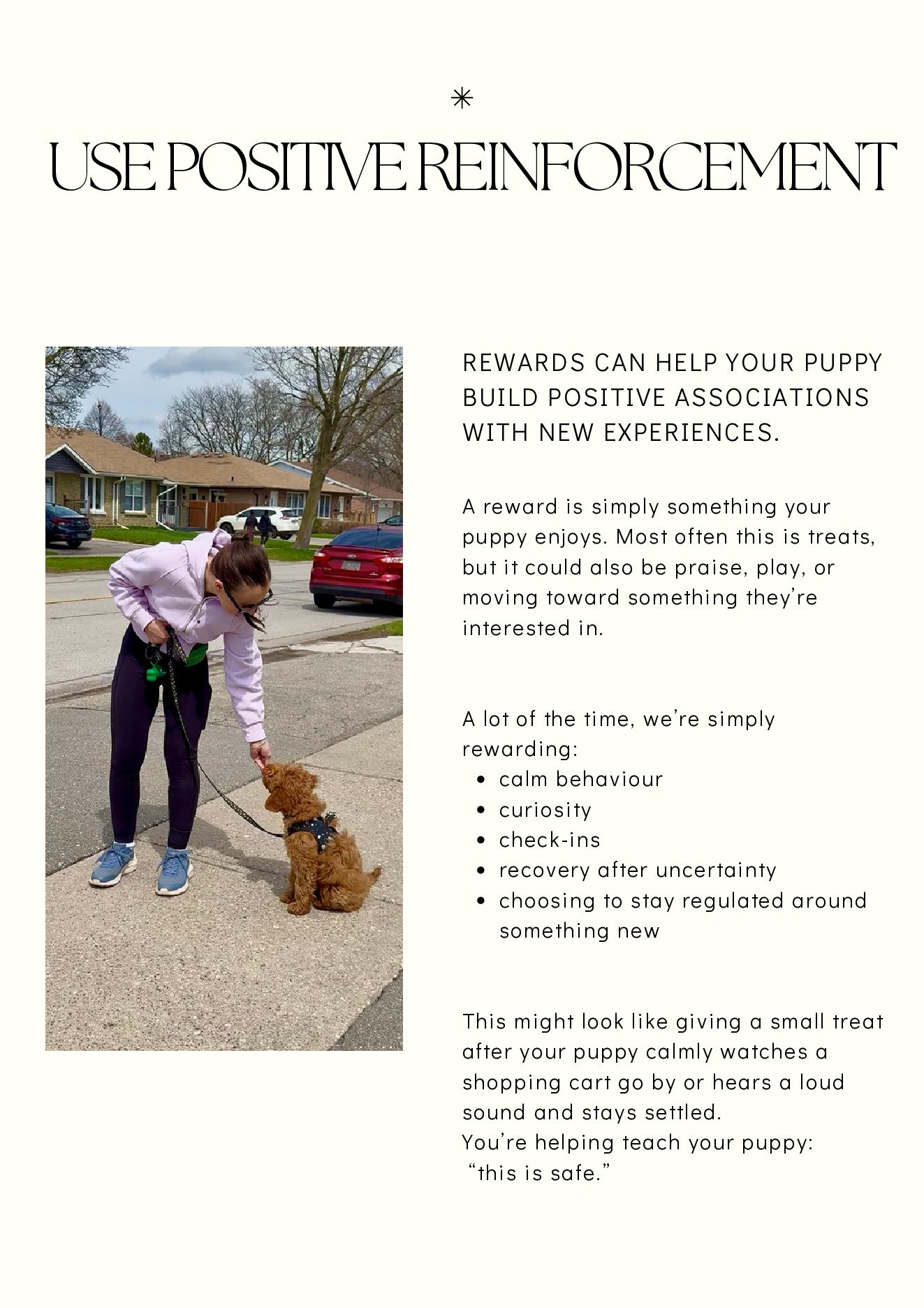Puppy Socialization Guide page 6