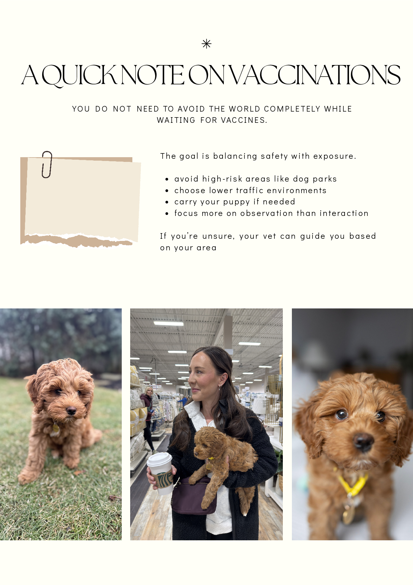 Puppy Socialization Guide page 11