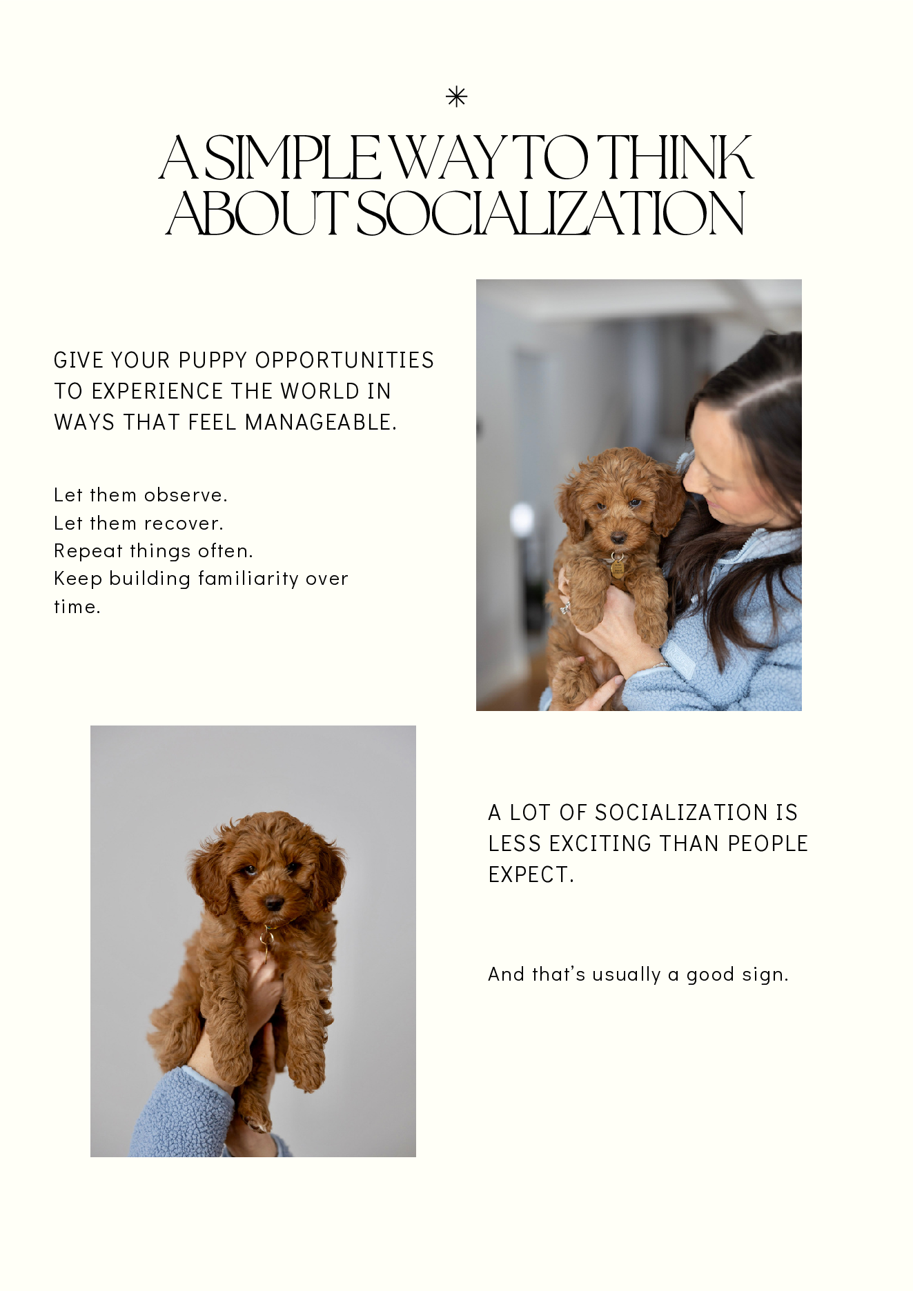 Puppy Socialization Guide page 12