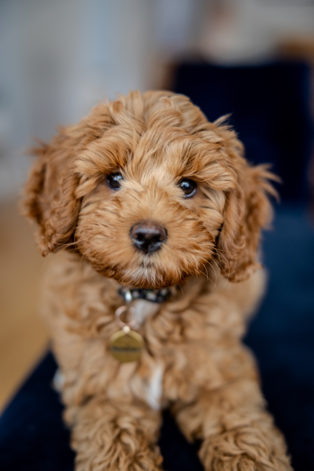 Marlowe portrait